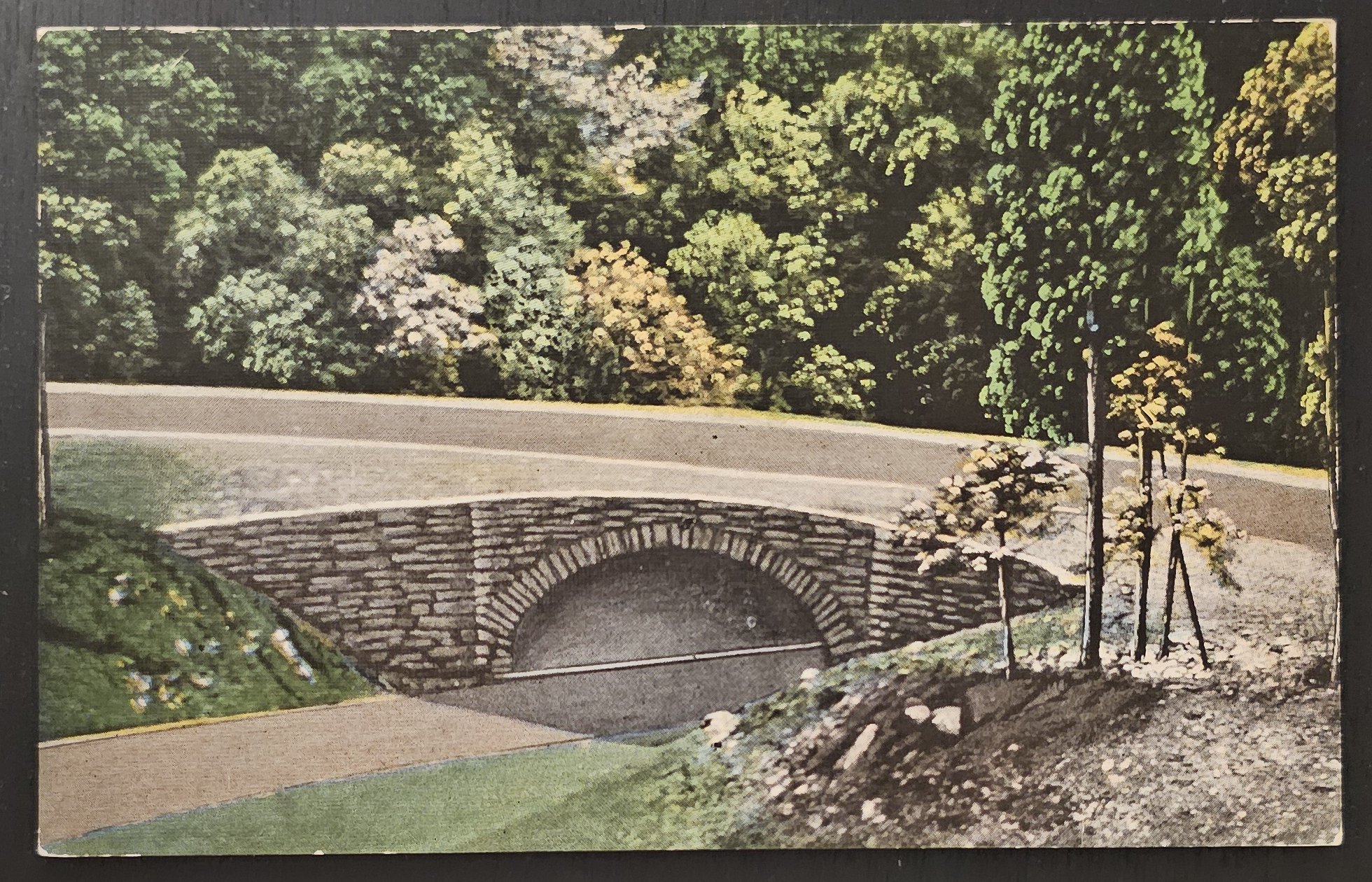 (image for) postcard USA - NC - North Carolina #0033